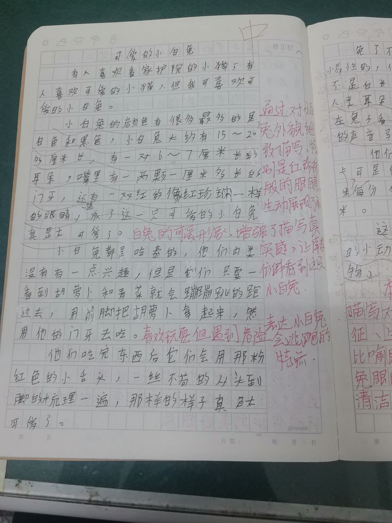 评价图片