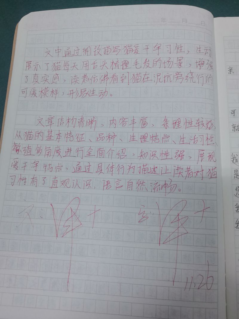 评价图片