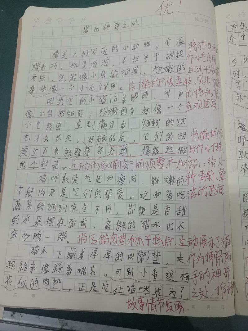 评价图片