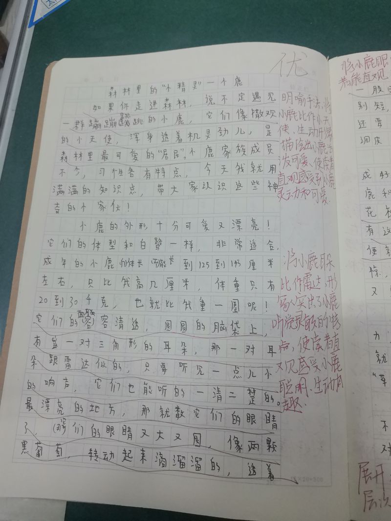 评价图片