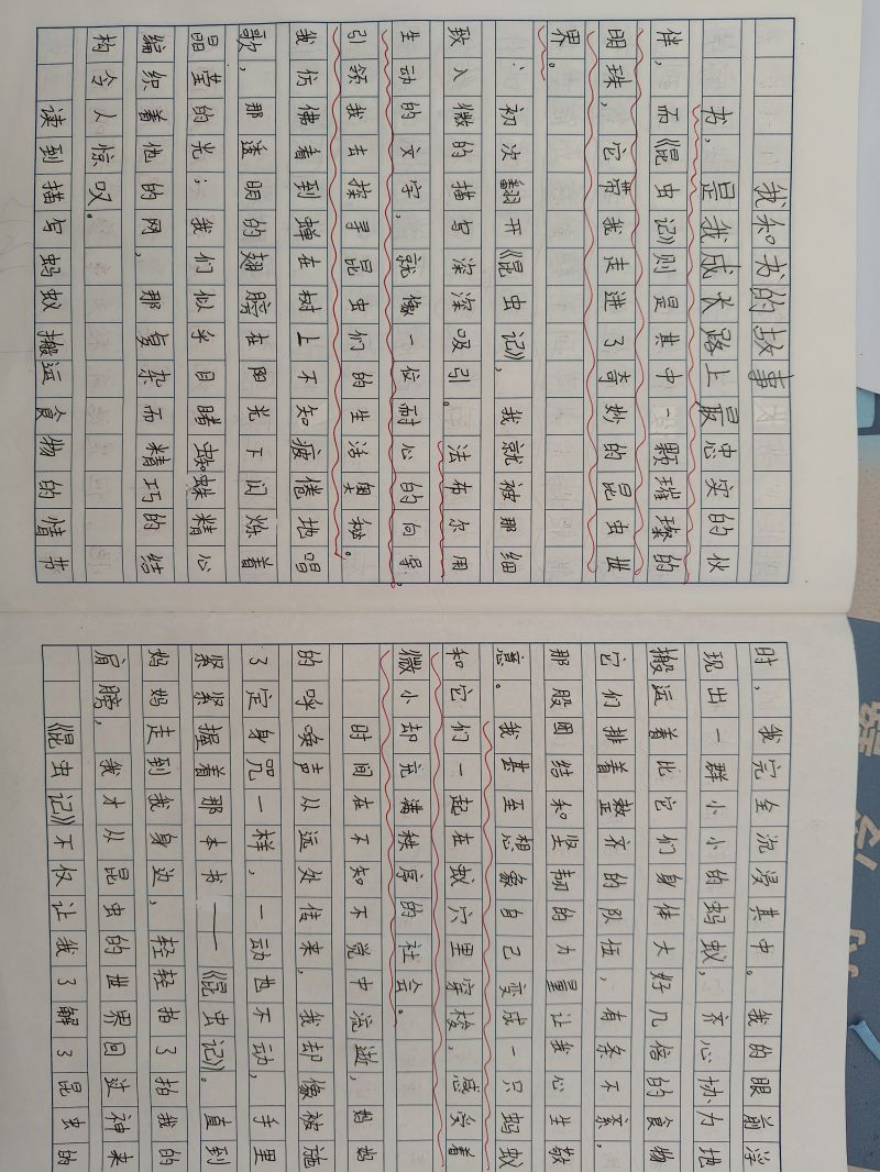 评价图片