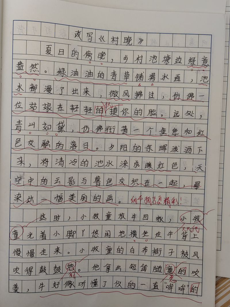 评价图片