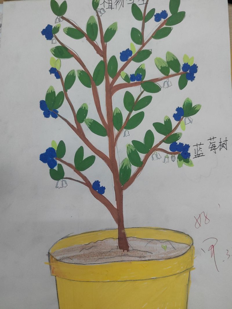 评价图片