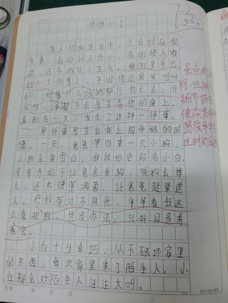 评价图片