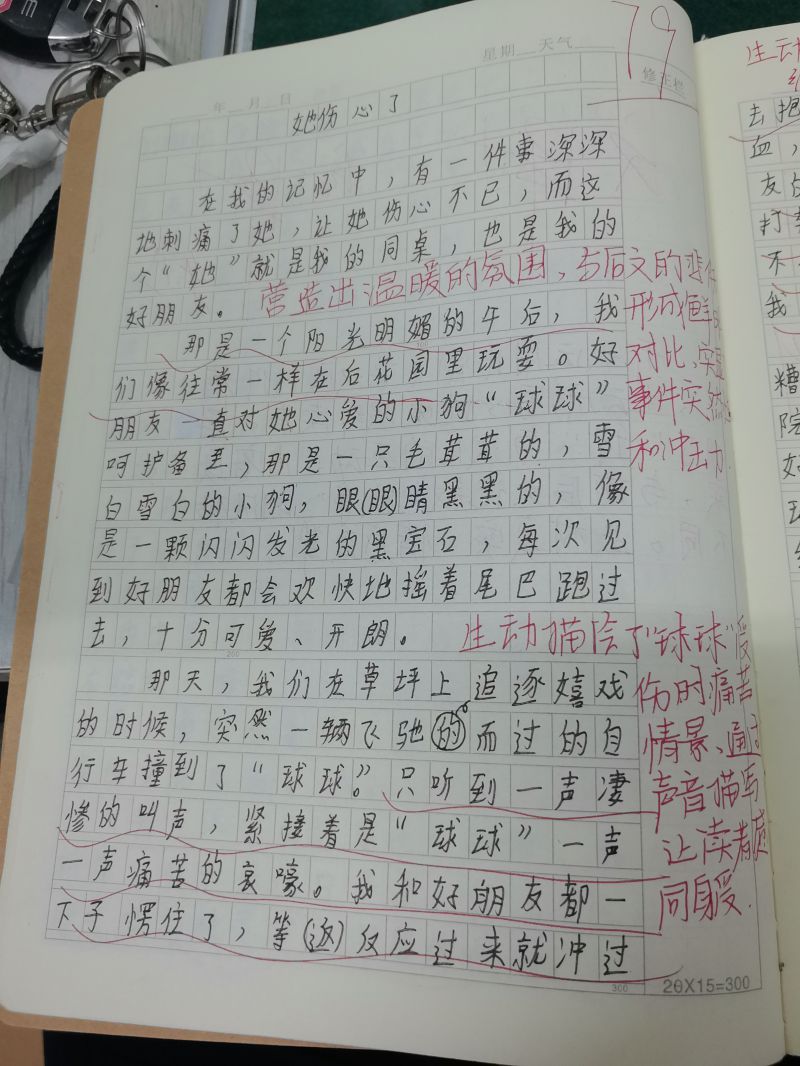 评价图片