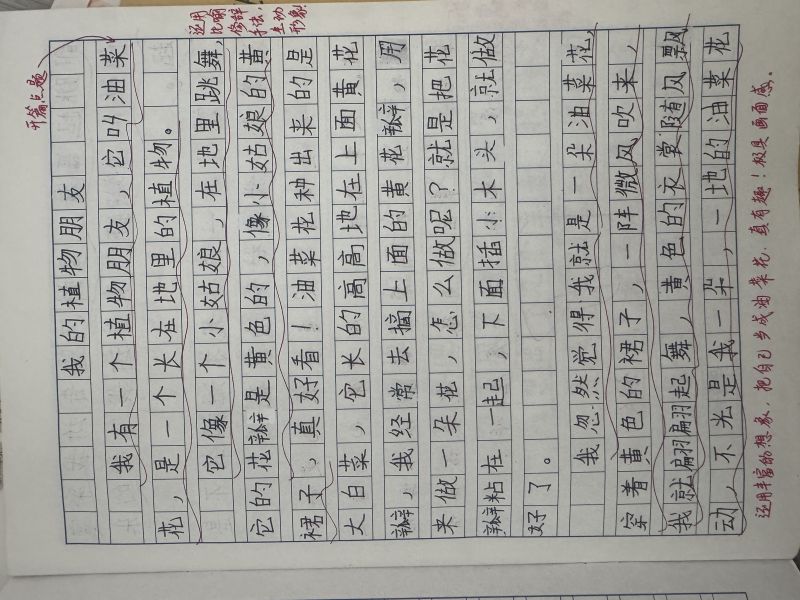 评价图片