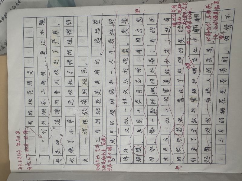 评价图片
