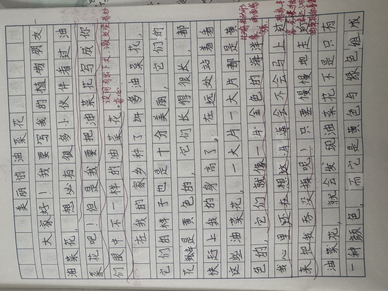 评价图片