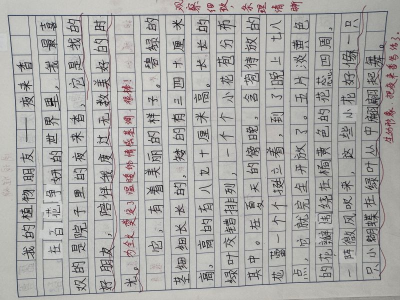 评价图片