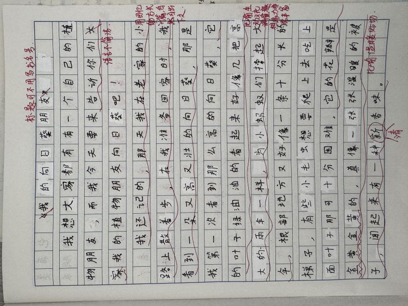 评价图片
