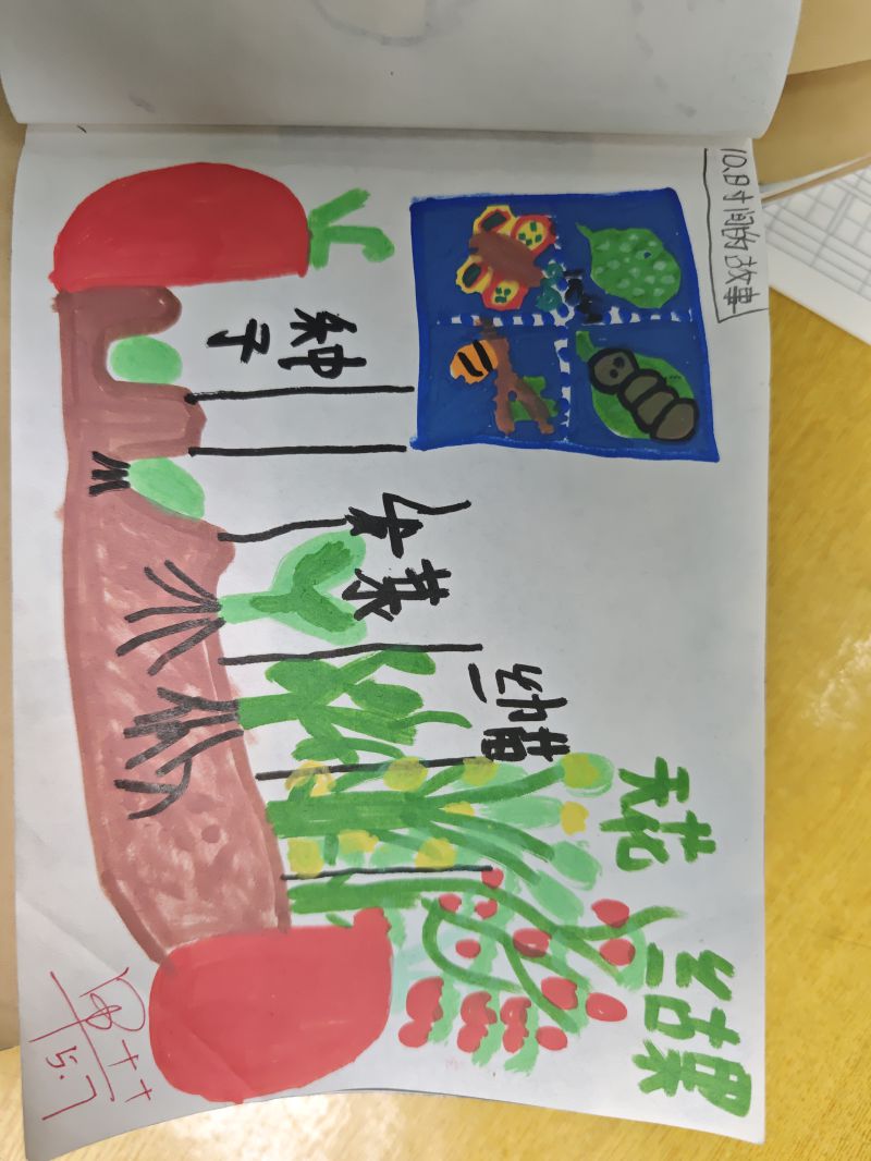 评价图片