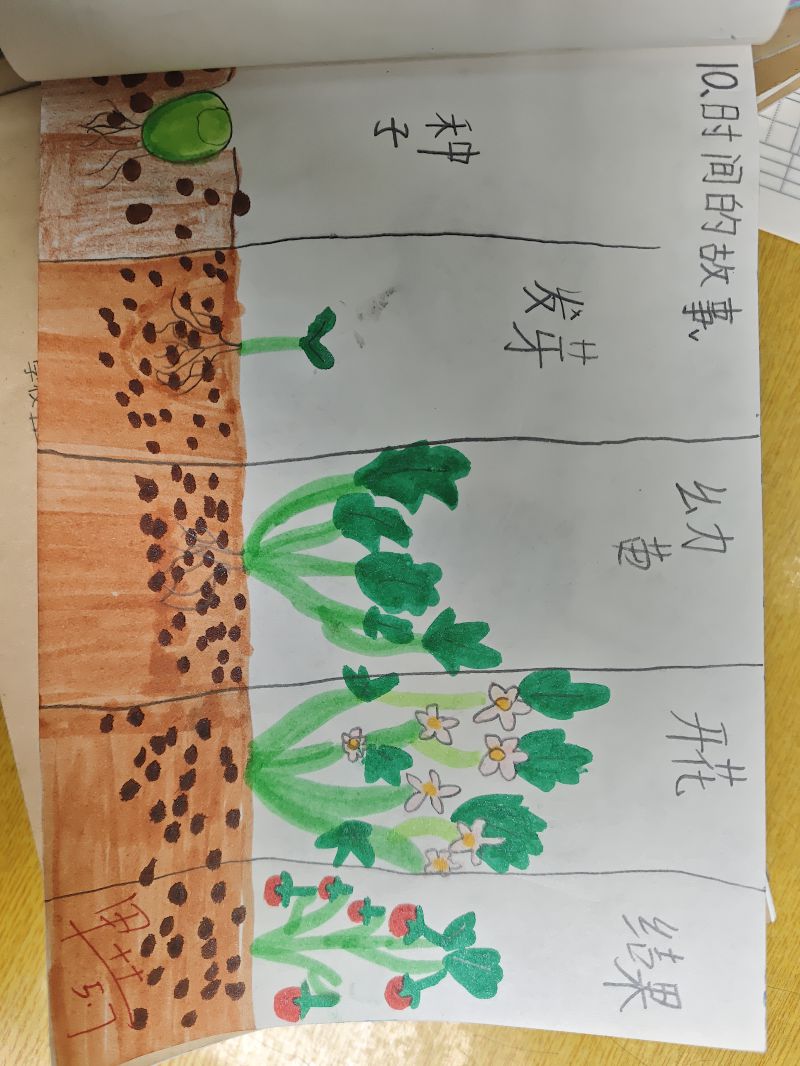 评价图片