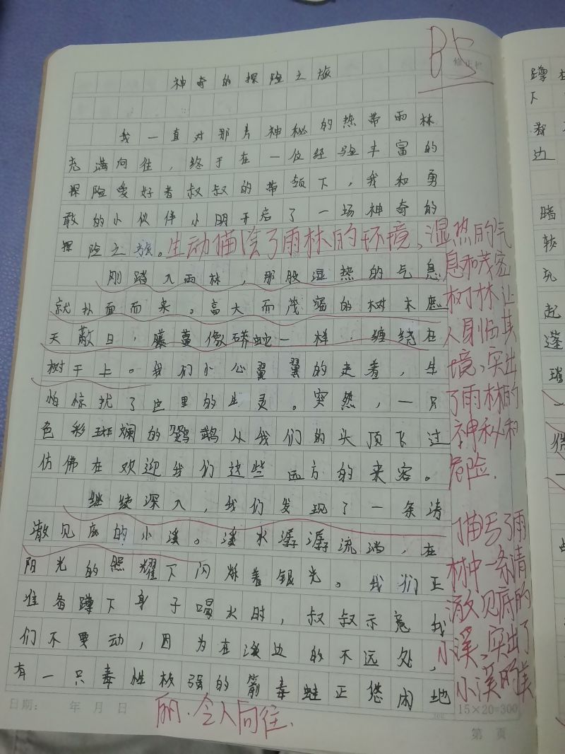 评价图片