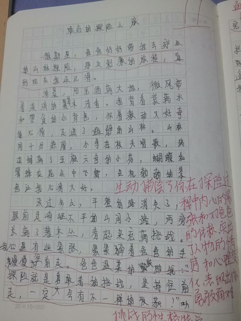 评价图片