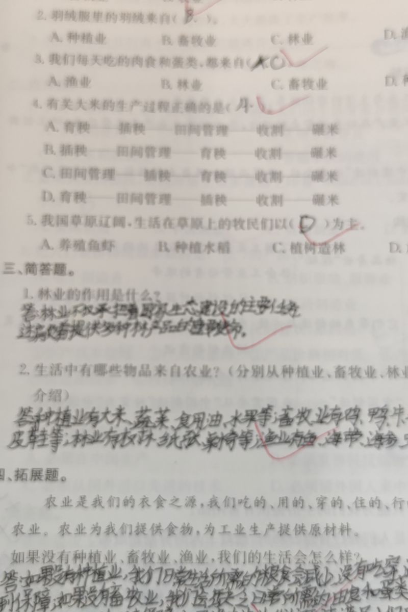 评价图片